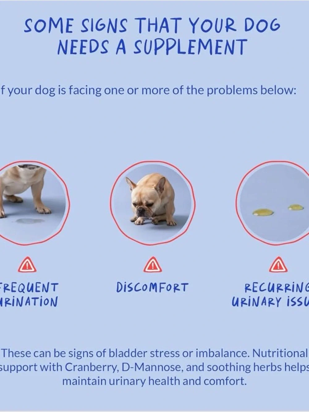 Coco and Luna Urinary Tract Support Soft Chews - Chicken Flavor